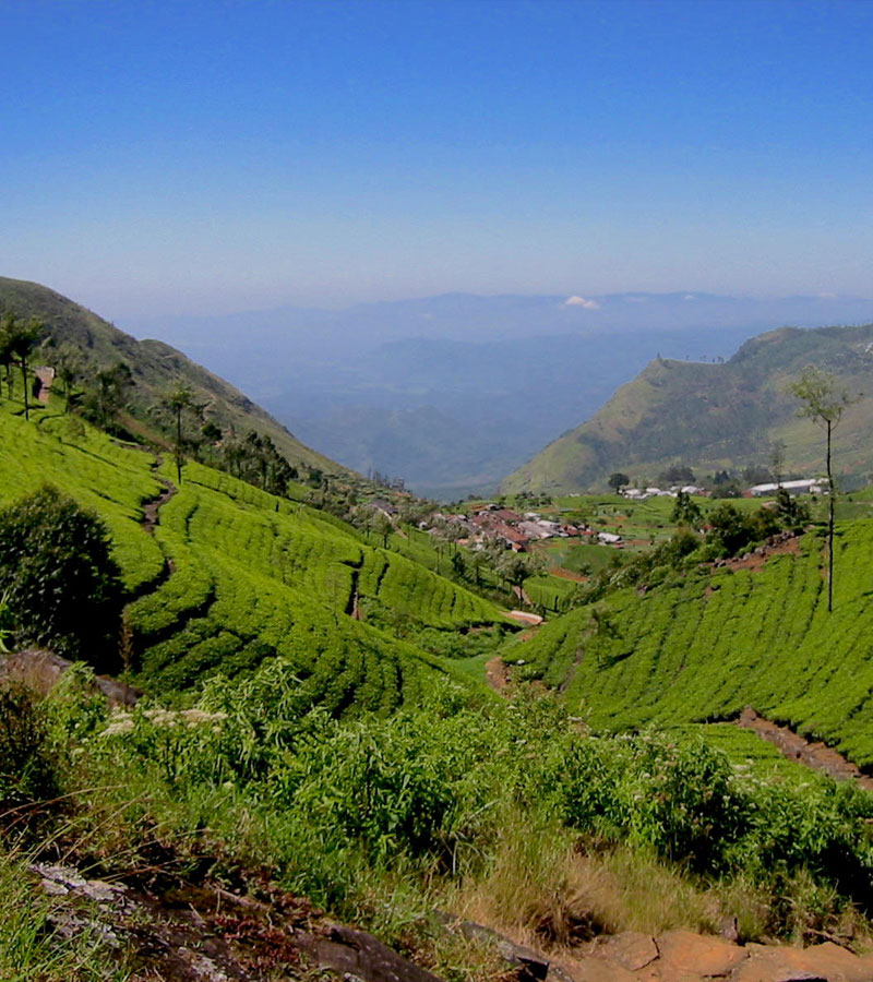 Luxury Resort Sri Lanka